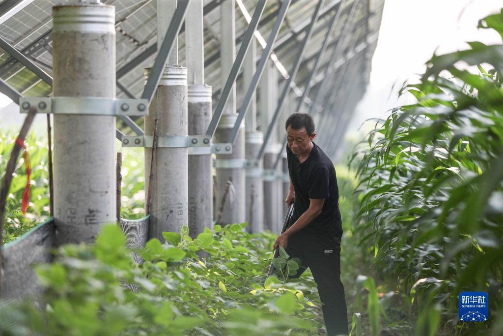 澳门威尼斯注册送25
